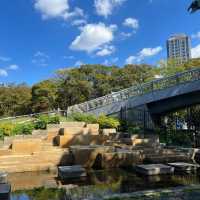 🌼🌿浮間公園～繡球花夢 🌼🌿