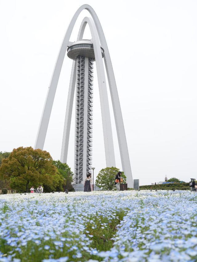【岐阜×木曽三川公園】 愛知、岐阜、三重にまたがる公園の展望塔