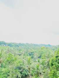 Swinging Into Nature at Bali Swing