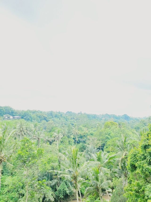 Swinging Into Nature at Bali Swing