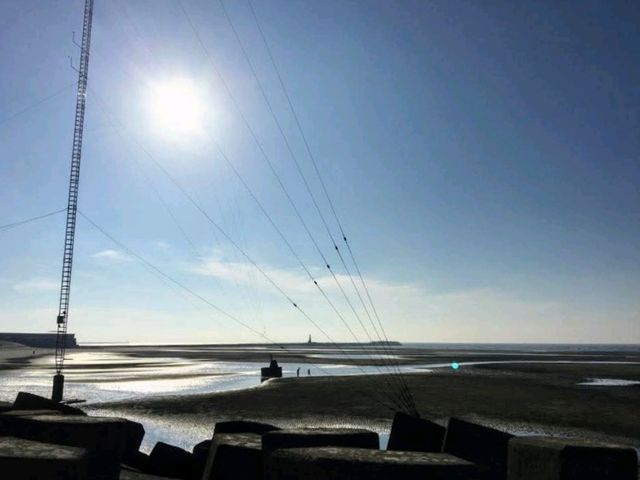 高美濕地賞落日，浪漫的金黃色海天一線
