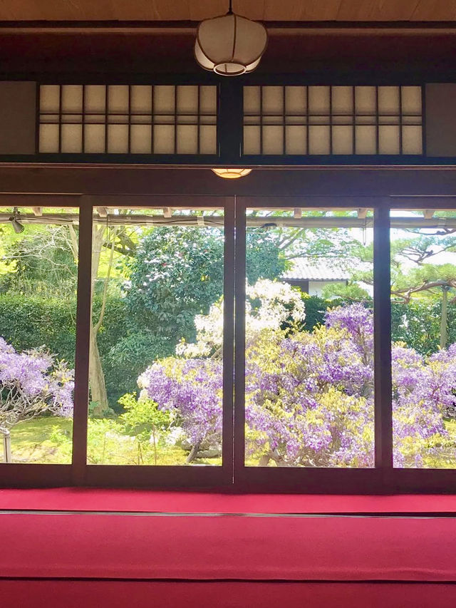 Spring at Myoshin-ji Chokei-in