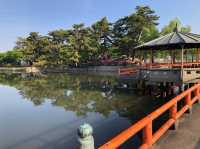 歴史感じるまち歩き！旧東海道・桑名宿をぶらり旅⛩️✨