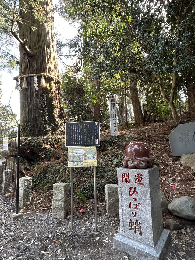 週末リフレッシュ！自然とグルメを満喫する高尾山ハイキング
