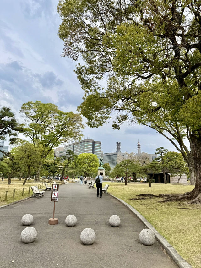 Spring Stroll at Kokyo-mae Plaza