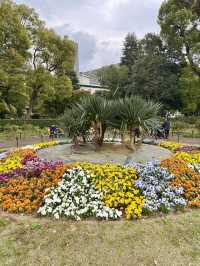 Spring Stroll in Hibiya Park