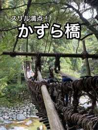 【徳島】四国の山奥にかかるかずらで造った橋・かずら橋