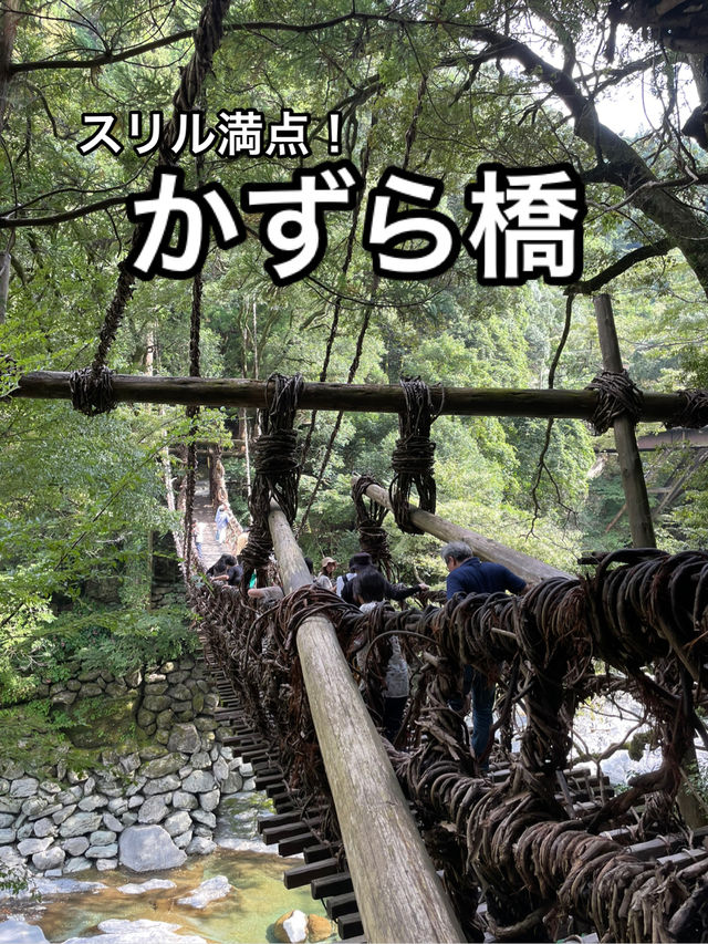 【徳島】四国の山奥にかかるかずらで造った橋・かずら橋