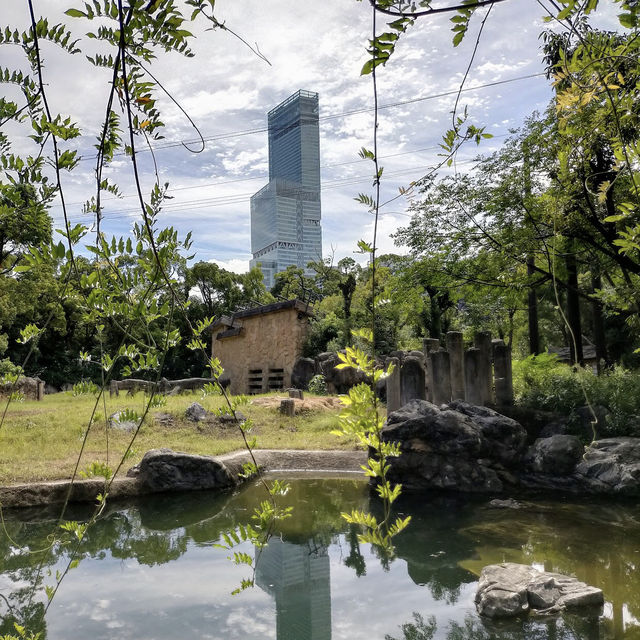 天王寺動物園（Tennoji Zoo） 