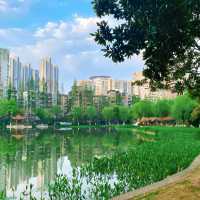 曉港公園~城市中的綠化地帶
