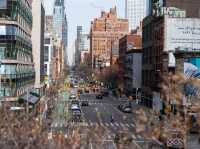 【NYCのハイライン】🌳🌆