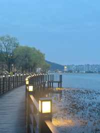 밤이 되면 더 화려해지는 대구의 랜드마크✨