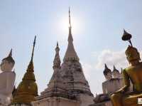 วัดพระวรราชาทินัดดามาตุ 