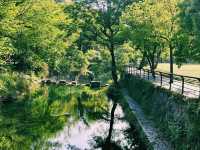 中國浙江溫州雁蕩山風景名勝區三折瀑景區旅行攻略，適合打卡拍照📸