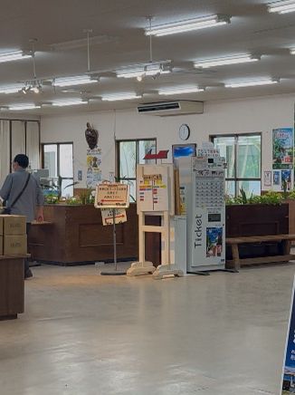 由布島で味わう沖縄の家庭料理「由布島レストラン」—水牛車で渡る島の唯一の食堂