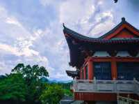 Hemei Tantang: A Dreamy Ride Through Lotus Fields