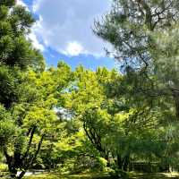 【京都】新緑に空の青さ、曹源池庭園 は素晴らしい