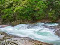 Fukiware Falls: Japan’s Hidden Niagara Awaits