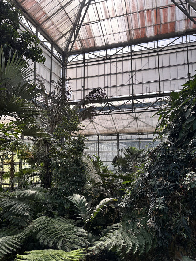 Queen Sirikit Botanic Garden in Chiang Mai