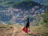 หมู่บ้านสีชมพูเหมือนญี่ปุ่นเมืองไทย