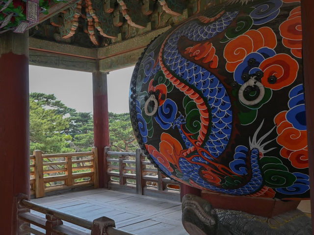 “Bulguksa Temple: Where Cherry Blossoms Embrace Timeless Tranquility”