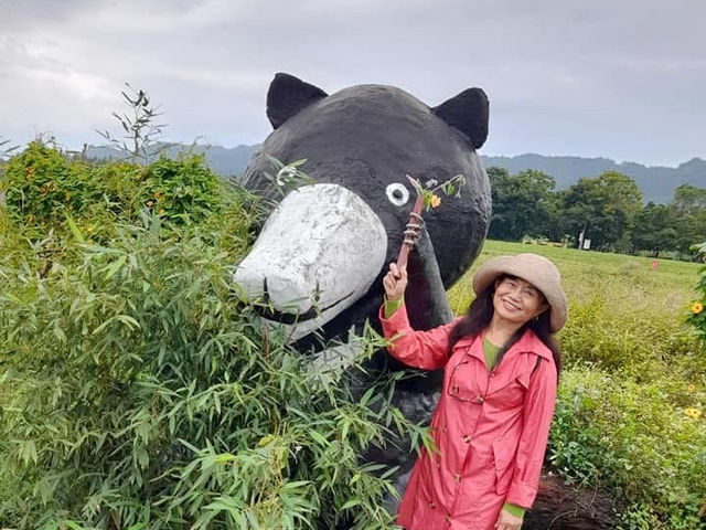 花蓮大農大富平地森林園區單車遊🚴