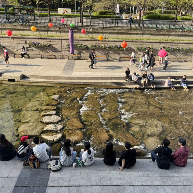 청계천 데이트🏞️