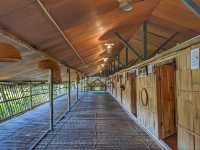 “Echoes of Tradition: Embrace the Longhouse Legacy at Sabah Tea Resort”
