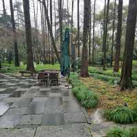 Hangzhou Botanical Garden – Hangzhou, Zhejiang