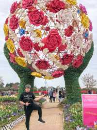 A Vibrant Festival Showcasing 1.5M Tulips and other Spring Flowers
