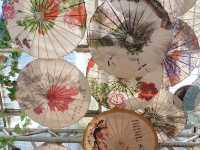 Black Dragon Pond Park - The beautiful natural picture of Lijiang