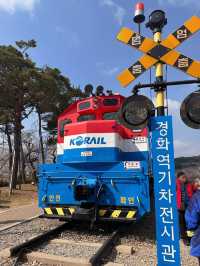 Petals & Paradise: My Cherry Blossom Adventure in Jinhae