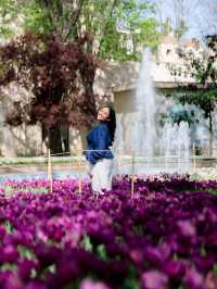 CATCHING FLOWERS IN GULHANE PARK 🇹🇷