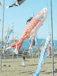 【福岡】福岡県南部を巡る1日日帰り旅