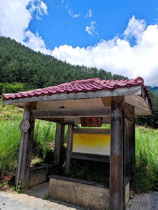 #武陵國家森林遊樂區-臺中區和平區