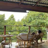 สวนอรุณบูรพา จันทบุรี เที่ยวชิมคาเฟ่ & สวนผลไม้ 