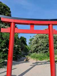 【静岡】伊豆の海と赤い鳥居が美しい白浜神社