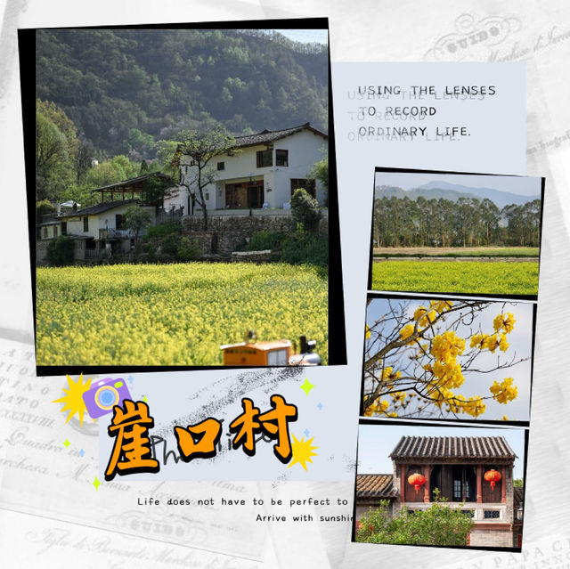 ～嶺南黃花天地～崖口村 ～