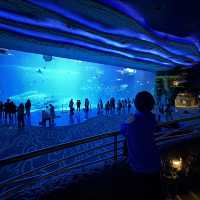 珠海長隆飛船酒店及海洋王國