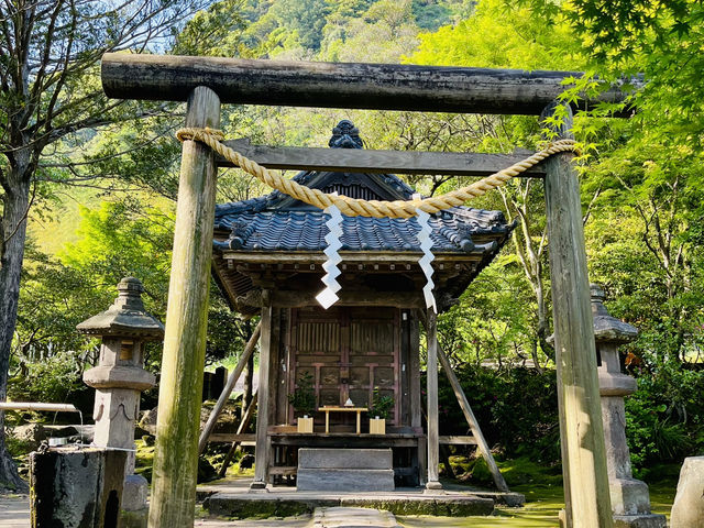 Surreal enchanted Sengan-En Japanese Gardens, Kagoshima 