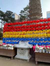 🇰🇷Jogyesa Temple in Seoul🇰🇷