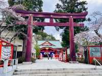 🇯🇵 仙台也有護國神社歷史重地🩵