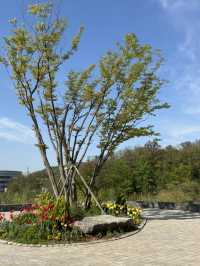 🌲 일월수목원, 수원의 숨은 보석!