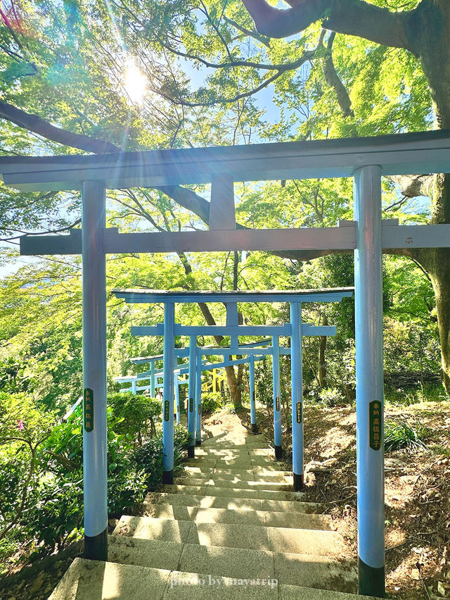 GWここにいこう！神社めぐり【栃木】