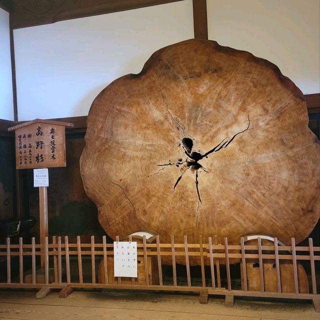 【和歌山】高野山金剛峯寺