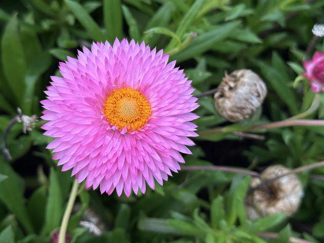 香港好去處 | 金鐘 | 添馬公園舞動水滴展