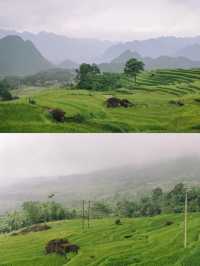 PÙ LUÔNG | THANH HOÁ 