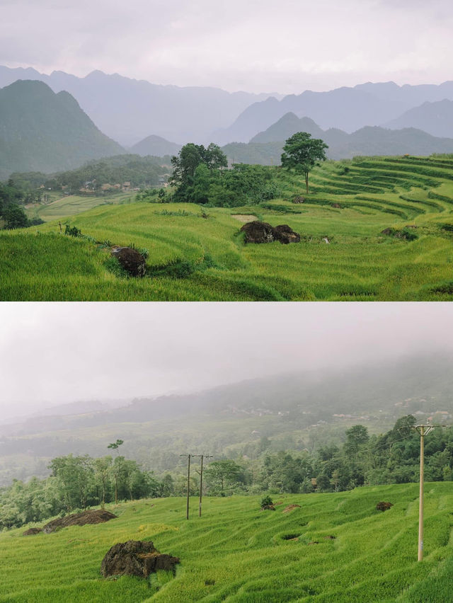 PÙ LUÔNG | THANH HOÁ 