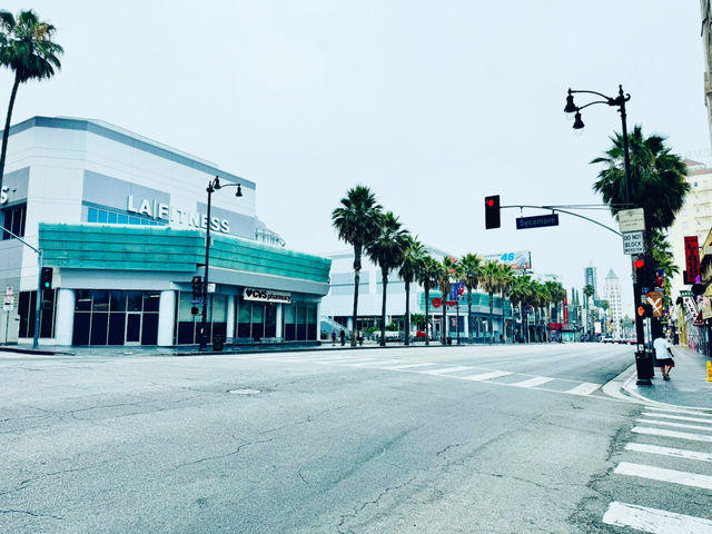 Ultimate Morning Stroll