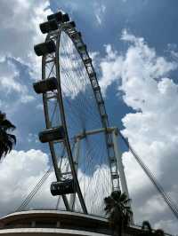 Above the City: A Breathtaking Ride on the Singapore Flyer